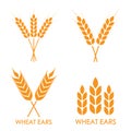 Wheat ears or rice icon set. Crop, barley or rye symbols isolated on white background. Design elements for bread packaging or beer Royalty Free Stock Photo